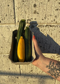 Squash fra Knoldbjerggaard