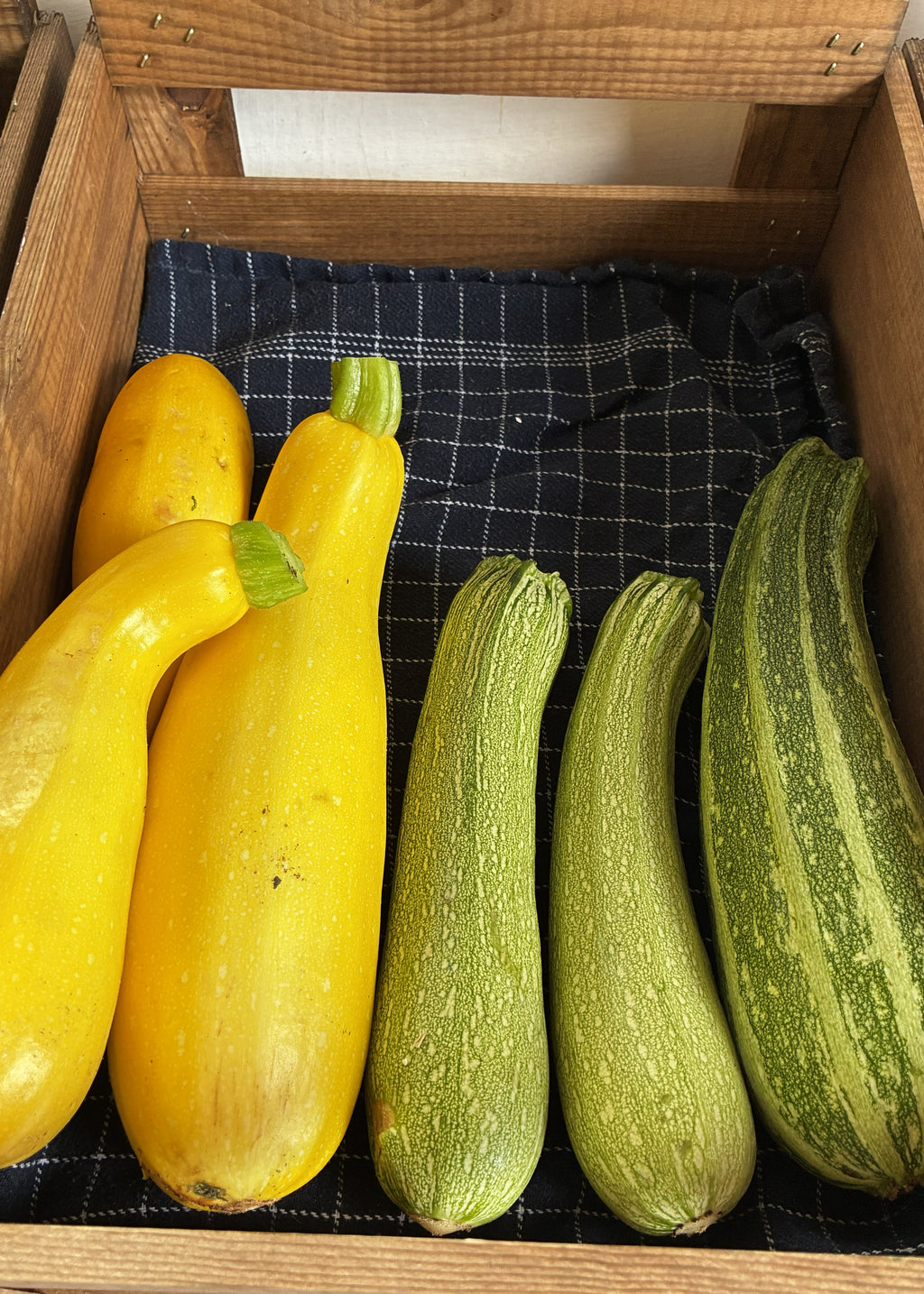 Alm. squash (enkelt) fra Knoldbjerggaard
